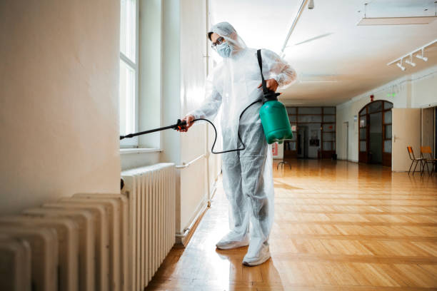 Best Real Estate Pest Inspections  in Mamou, LA